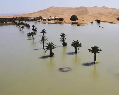 El desierto del Sahara se inundó tras fuertes lluvias no antes vistas en los últimos 50 años