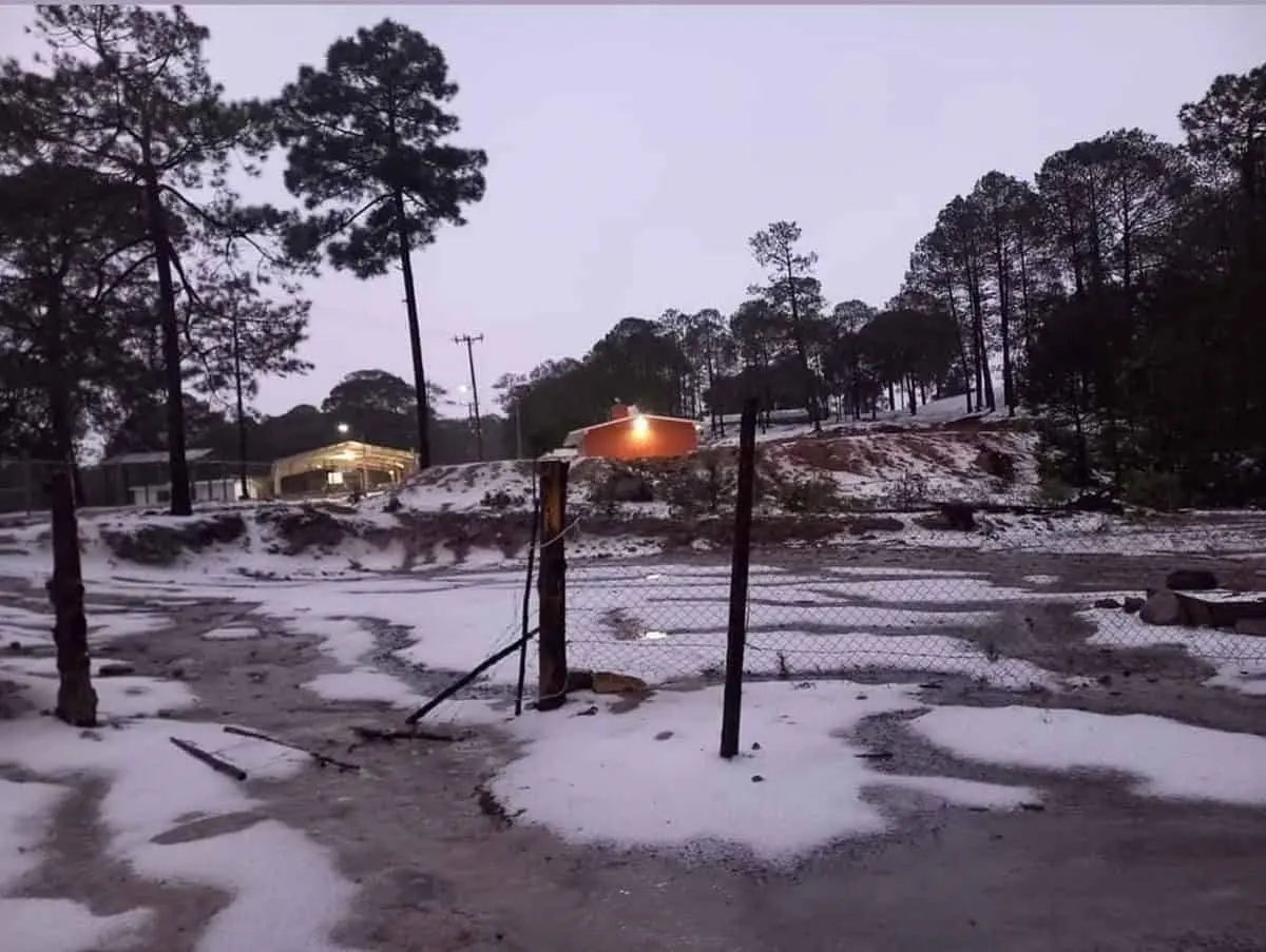 Granizada en la sierra del municipio de Badiraguato.