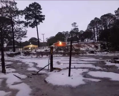 Granizada en Badiraguato; mira las postales de la blanca nieve