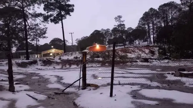 Granizada en la sierra del municipio de Badiraguato.