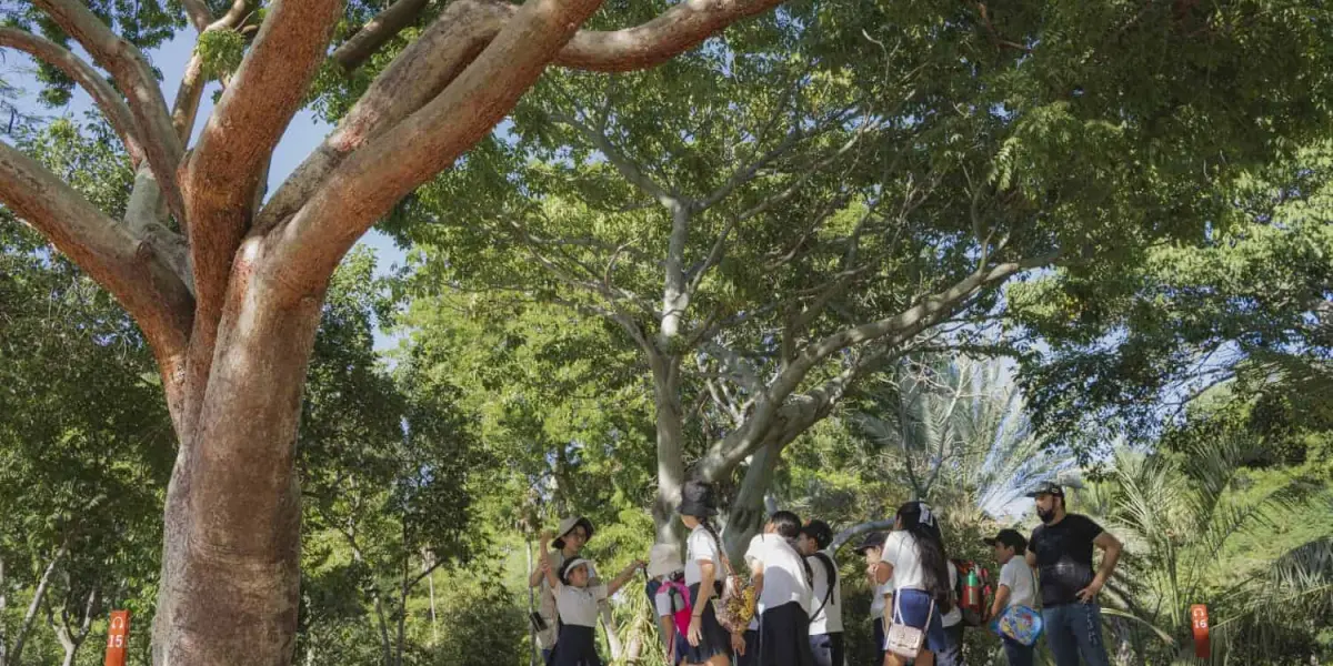 Jardín Botánico.