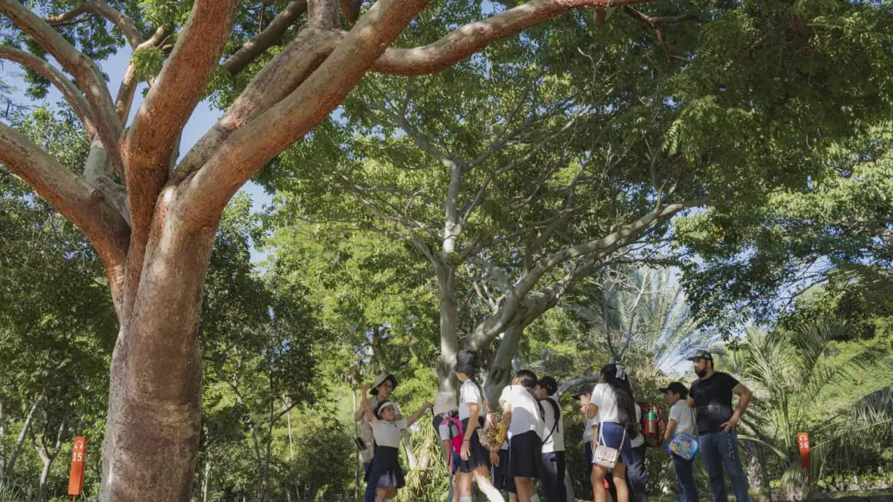 Jardín Botánico.