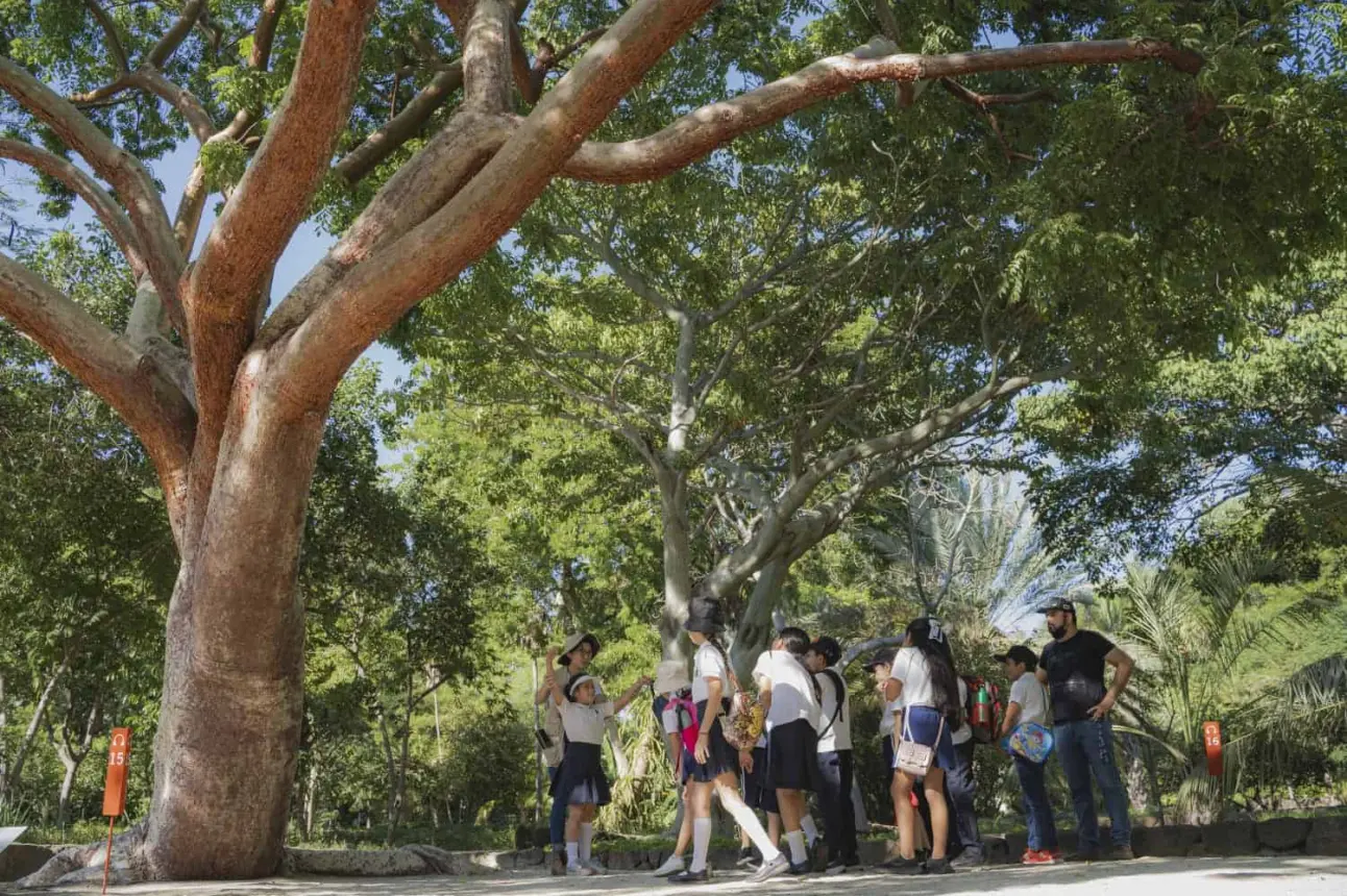 Jardín Botánico.