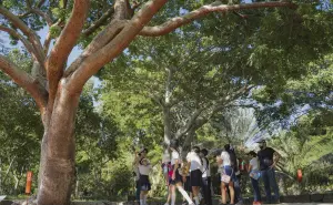 Invitan a donar para promover la educación ambiental a través del Viaje Botánico