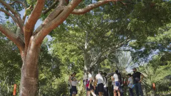 Invitan a donar para promover la educación ambiental a través del Viaje Botánico