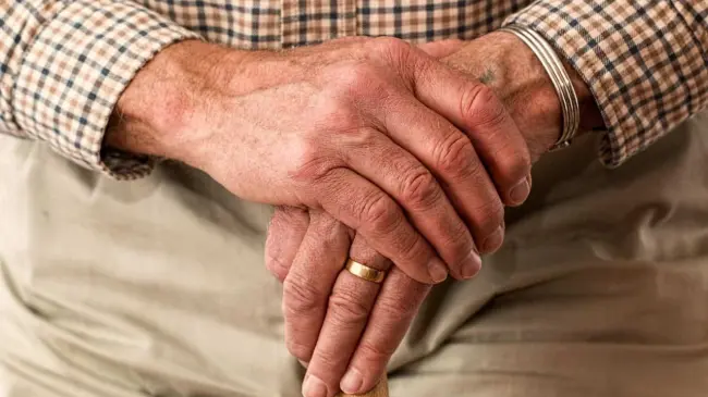 Se espera que las pensiones del Bienestar y del IMSS tengan un aumento importante el próximo año. Foto: Pixabay