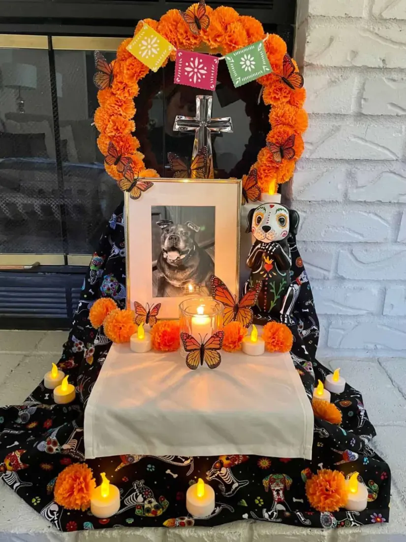 Altares para mascotas en el Día de Muertos, 27 de octubre de 2024. Foto: Pinterest-Cortesía