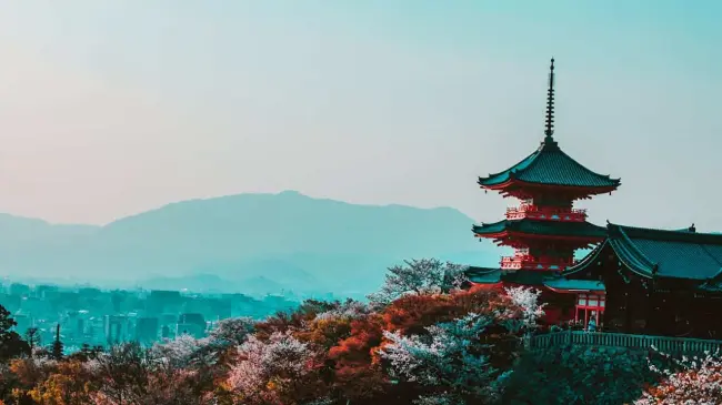 Japón.Foto.Pexels