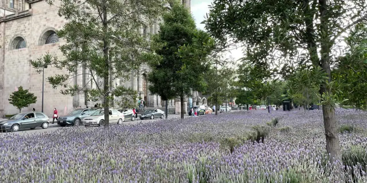 La Plaza de los Mártires, en el centro de Toluca, honra a los héroes de la independencia y simboliza la lucha por la libertad. Este espacio histórico es escenario de destacados eventos cívicos.