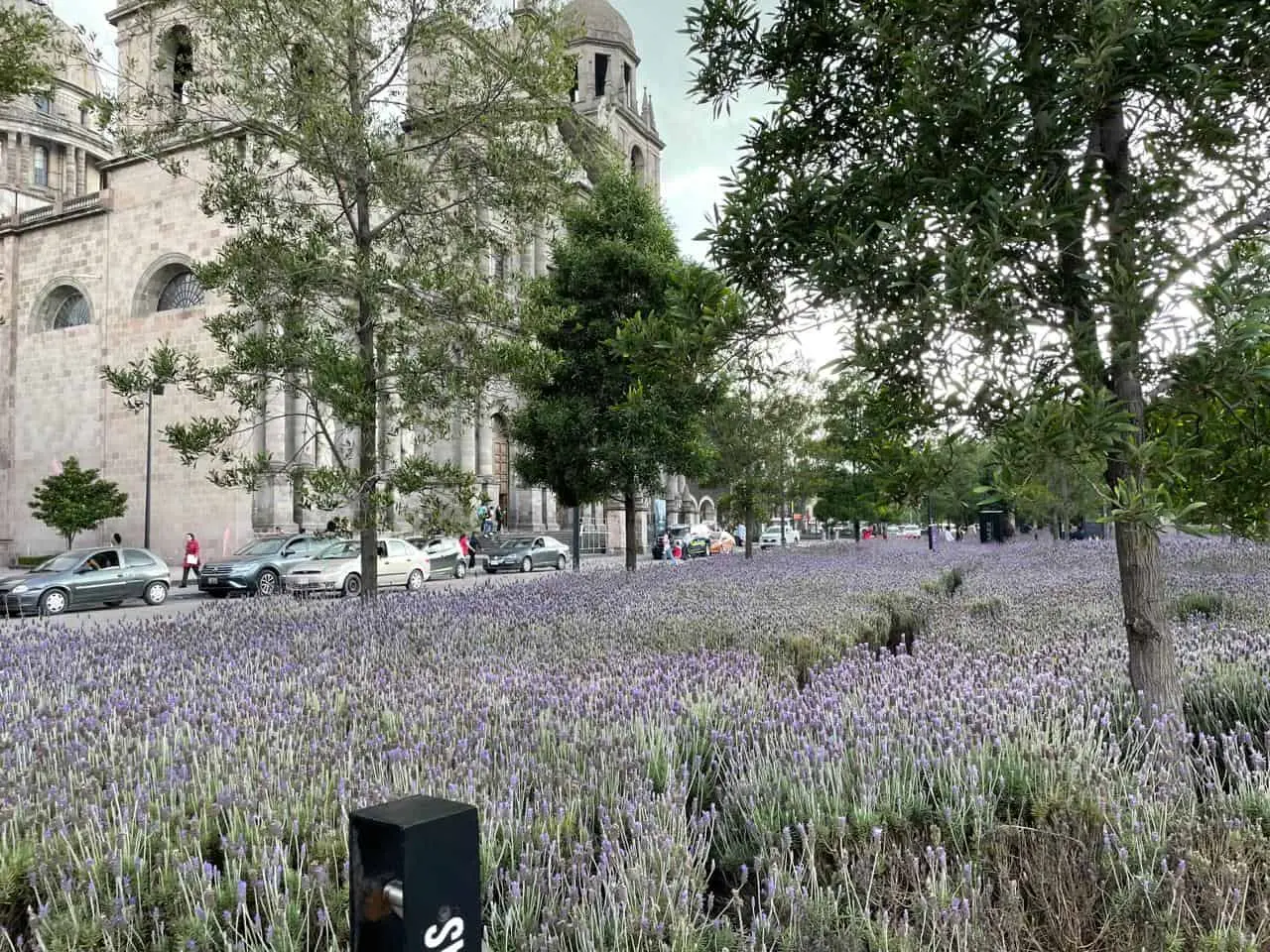 La Plaza de los Mártires, en el centro de Toluca, honra a los héroes de la independencia y simboliza la lucha por la libertad. Este espacio histórico es escenario de destacados eventos cívicos.