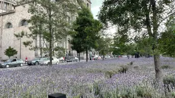 La Plaza de los Mártires, es un símbolo de unidad y libertad en el corazón de Toluca