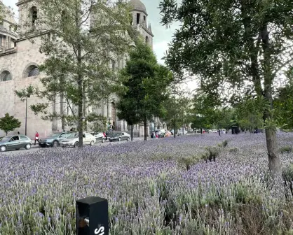 La Plaza de los Mártires, es un símbolo de unidad y libertad en el corazón de Toluca