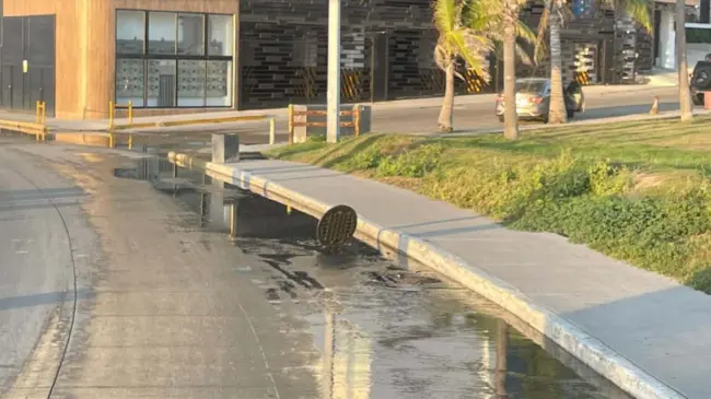 En Mazatlán JUMAPAM extrae del alcantarillado más de 100 kilos de toallitas húmedas.