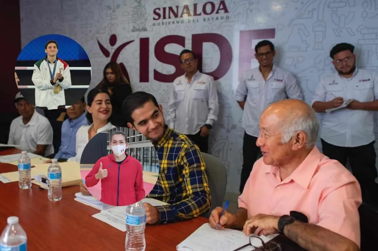 Votación PED 2024 | Imagen: ISDE