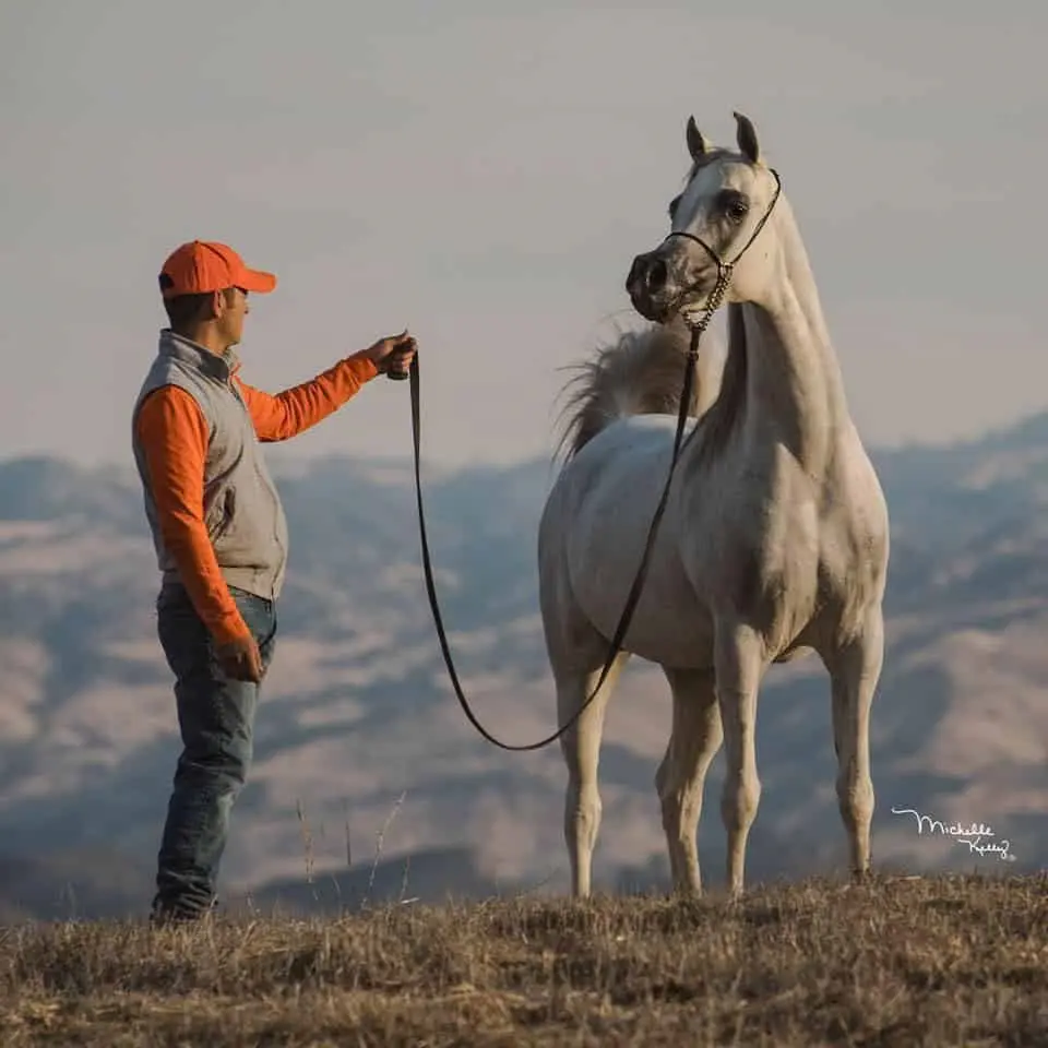 Los caballos son una de las pasiones de Javier Alonso Guzmán.