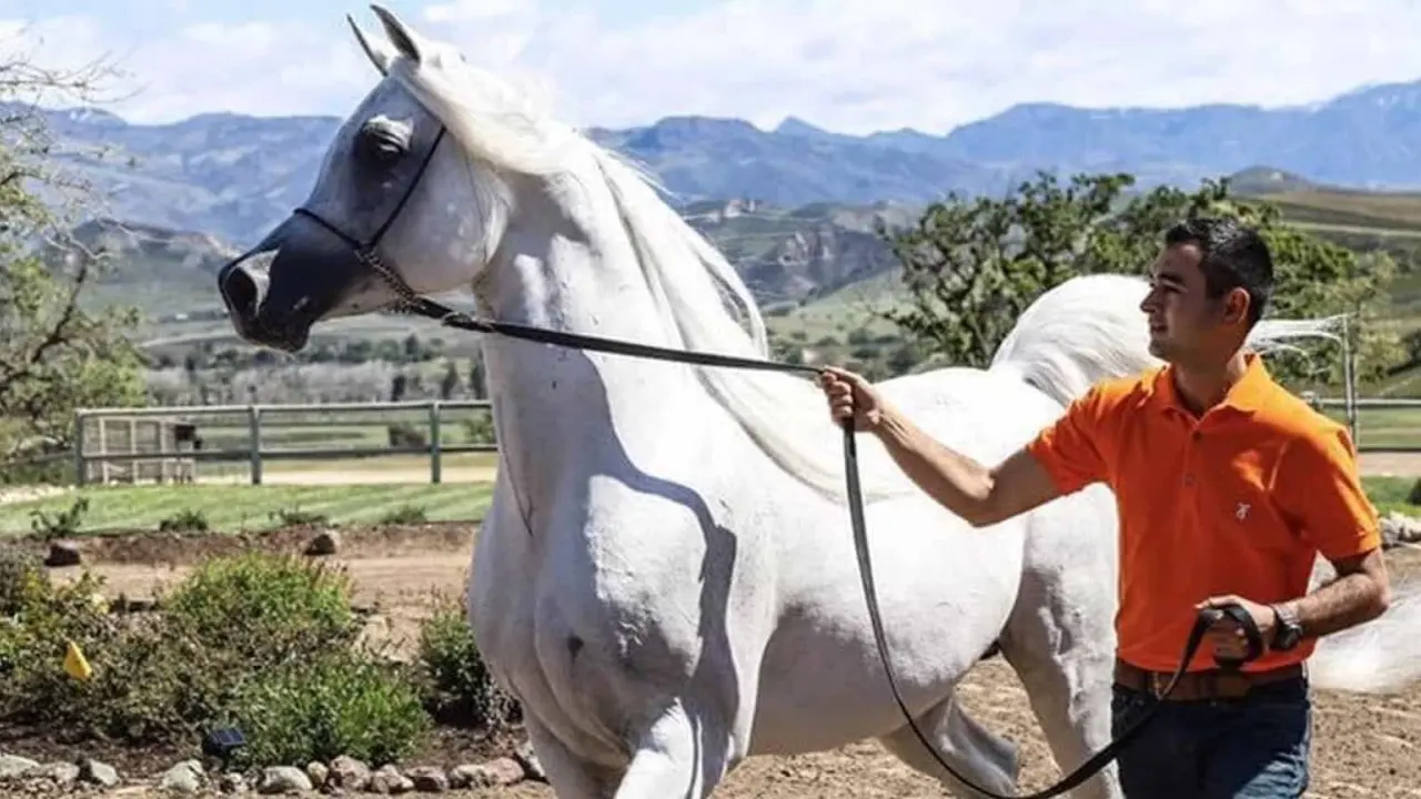 Con mucha dedicación, Javier Alonso logró convertirse en uno de los mejores entrenadores de caballo a nivel internacional. Foto: Cortesía.