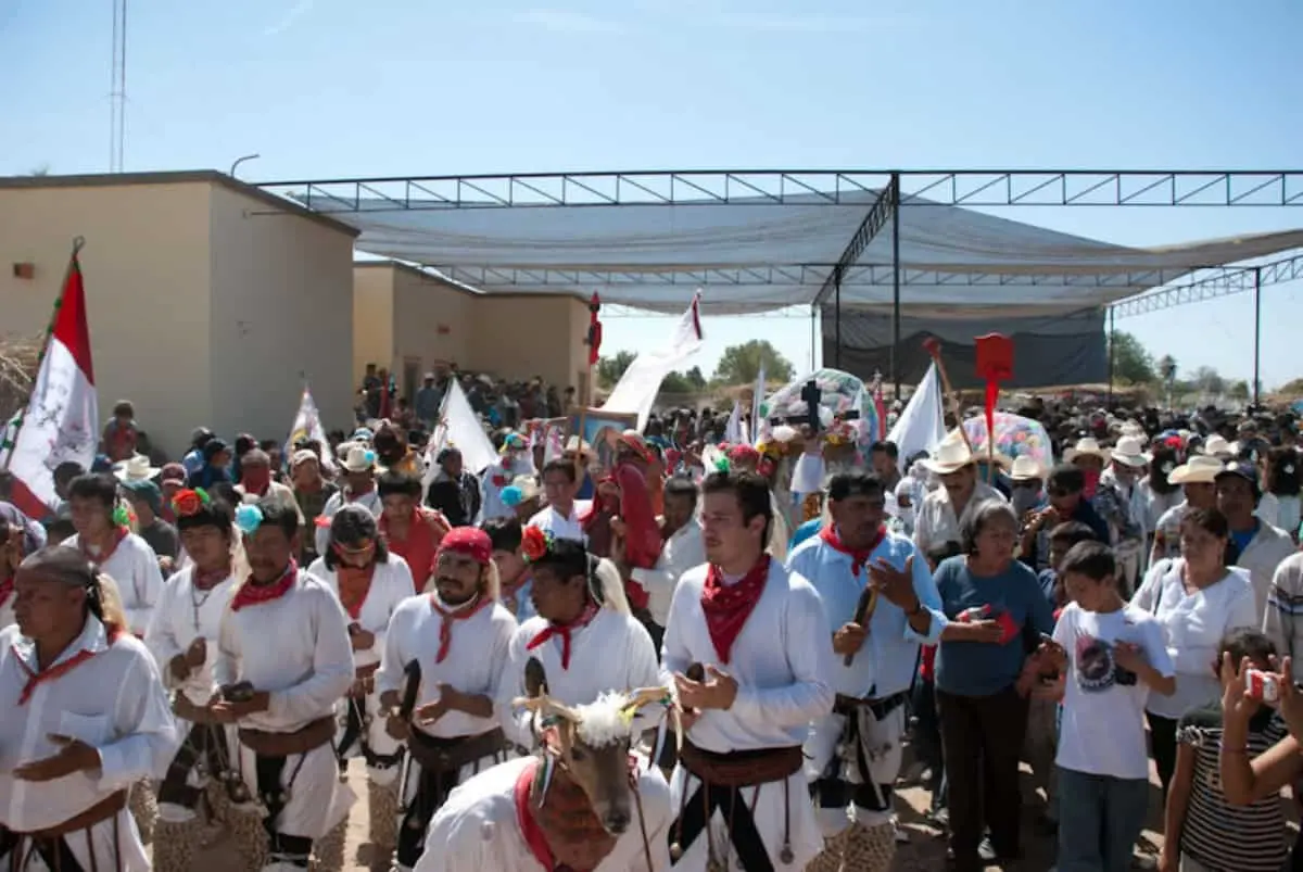 En Sinaloa existen miles de hablantes de lenguas originarias. Foto: INPI