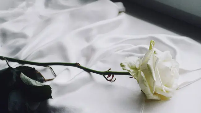 El viernes 1 de noviembre, se conmemora el Día de los Angelitos. Foto: Pixabay