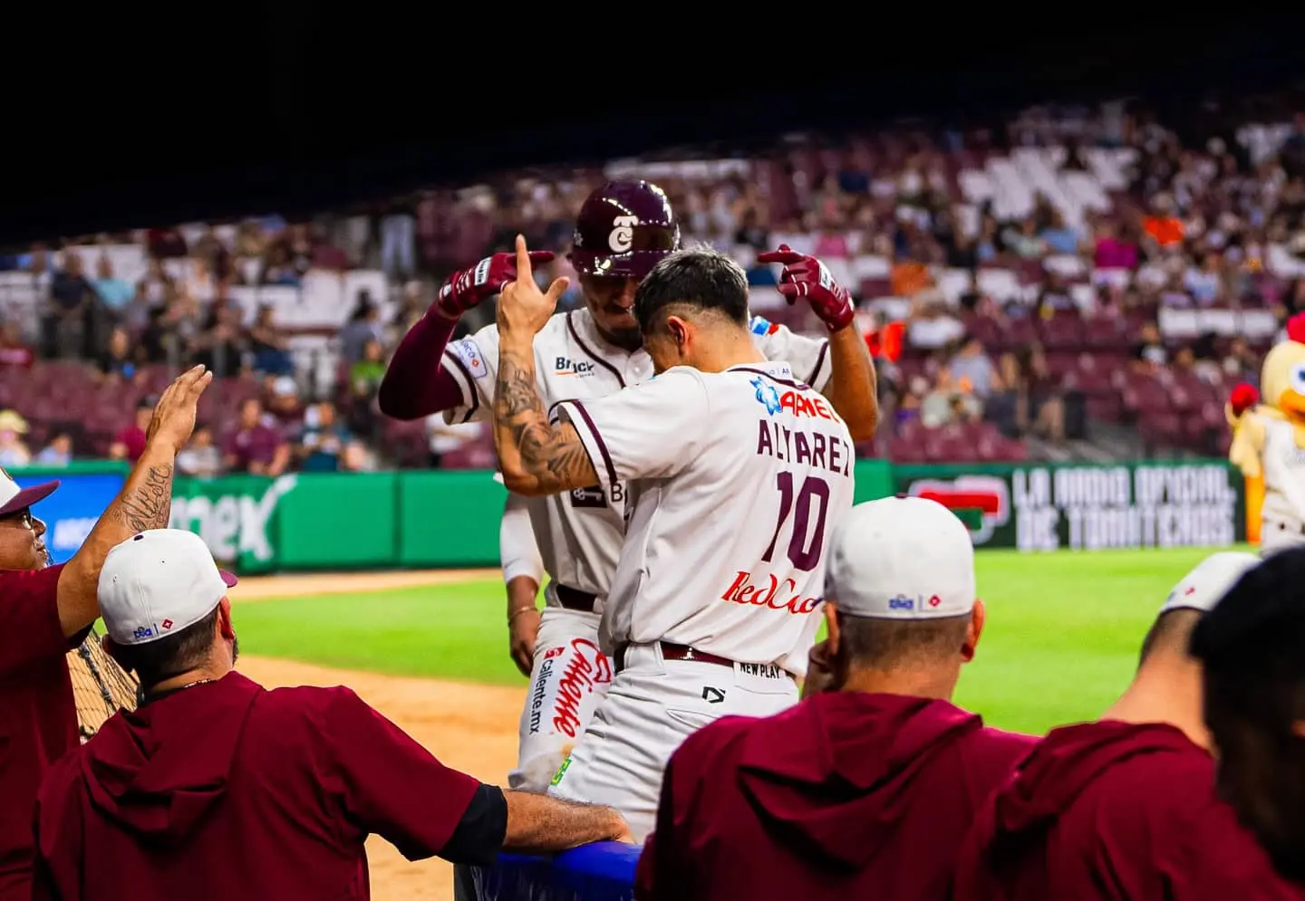 Culiacán lidera la LAMP: Imagen: Tomateros