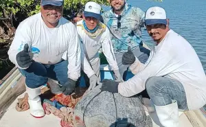 Pescadores y Pescadoras de La Reforma participan en la conservación inteligente con el monitoreo de la tortuga marina