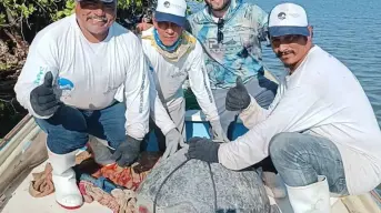 Pescadores y Pescadoras de La Reforma participan en la conservación inteligente con el monitoreo de la tortuga marina