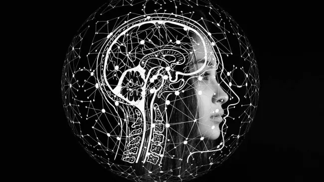 Mente. Imagen. Pixabay
