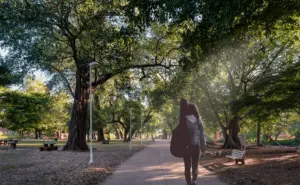 Descubre la Isla de Orabá en Culiacán, un lugar de tranquilidad en el río Tamazula