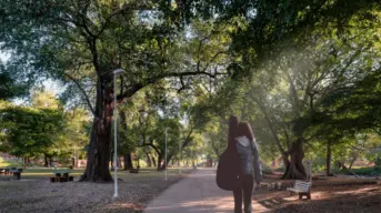 Descubre la Isla de Orabá en Culiacán, un lugar de tranquilidad en el río Tamazula