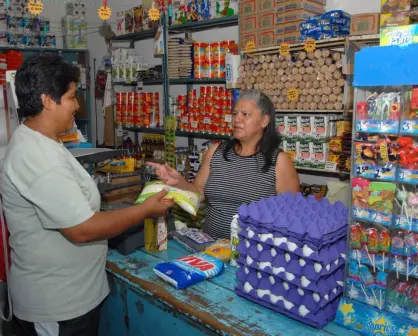 Tiendas del Bienestar: ¿qué venderán, cuándo y dónde abren?