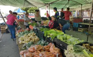 Comerciantes de tianguis en Culiacán retoman actividades, impulsando la economía de familias locales