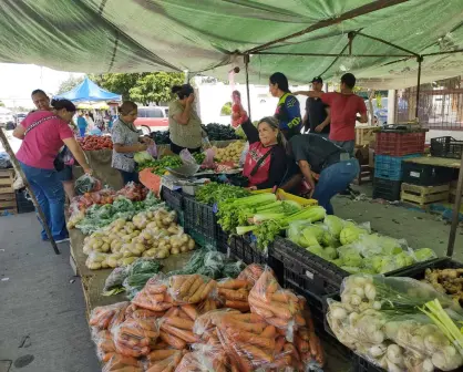 Comerciantes de tianguis en Culiacán retoman actividades, impulsando la economía de familias locales