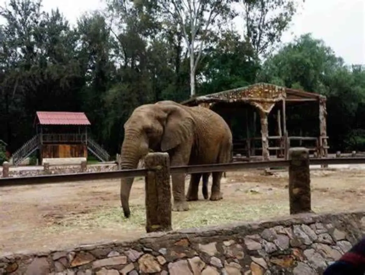 Zoológico de León, Guanajuato