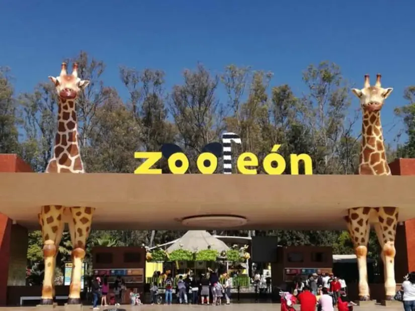 Zoológico de León