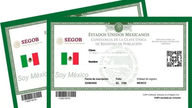 La CURP es un código asignado a cada ciudadano mexicano. Foto: Cortesía