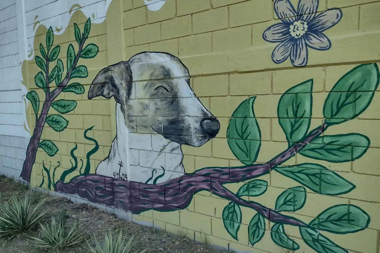 A pesar de ya no estar presente físicamente, Duke sigue plasmado en un mural y la memoria de los vecinos del fraccionamiento Centenario.