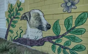 “Duke” el perro inolvidable, guardián del fraccionamiento Centenario pintado en mural de vecinos