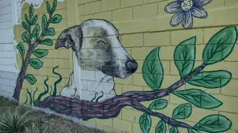 “Duke” el perro inolvidable, guardián del fraccionamiento Centenario pintado en mural de vecinos