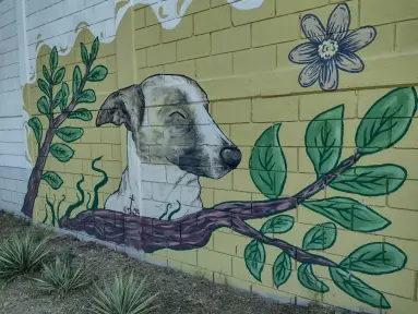 “Duke” el perro inolvidable, guardián del fraccionamiento Centenario pintado en mural de vecinos