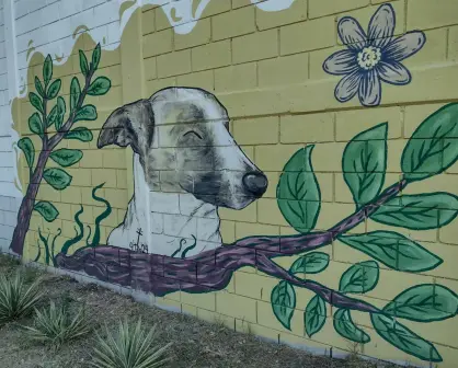 "Duke" el perro inolvidable, guardián del fraccionamiento Centenario pintado en mural de vecinos