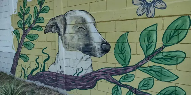 "Duke" el perro inolvidable, guardián del fraccionamiento Centenario pintado en mural de vecinos