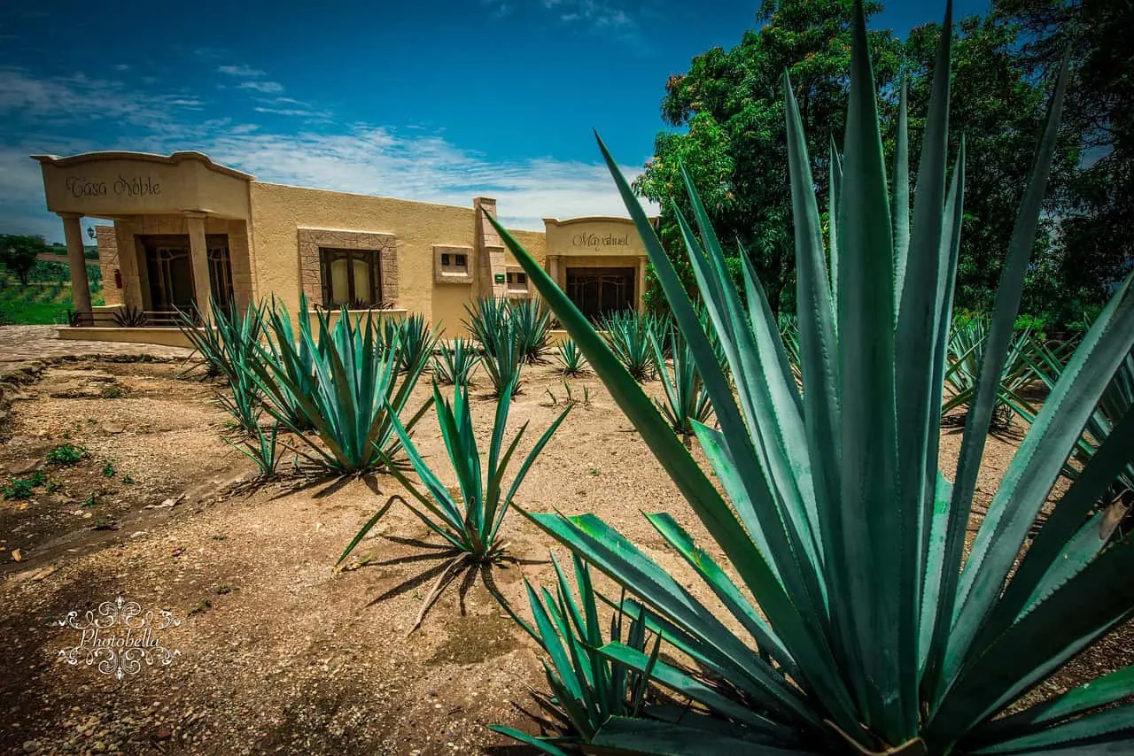 Así será Tequila Lab, el museo interactivo del tequila más grande de México, que estará ubicado en Guadalajara. Foto. temática.