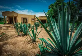 Así será Tequila Lab, el museo interactivo del tequila más grande de México, que estará ubicado en Guadalajara