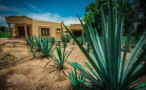 Así será Tequila Lab, el museo interactivo del tequila más grande de México, que estará ubicado en Guadalajara