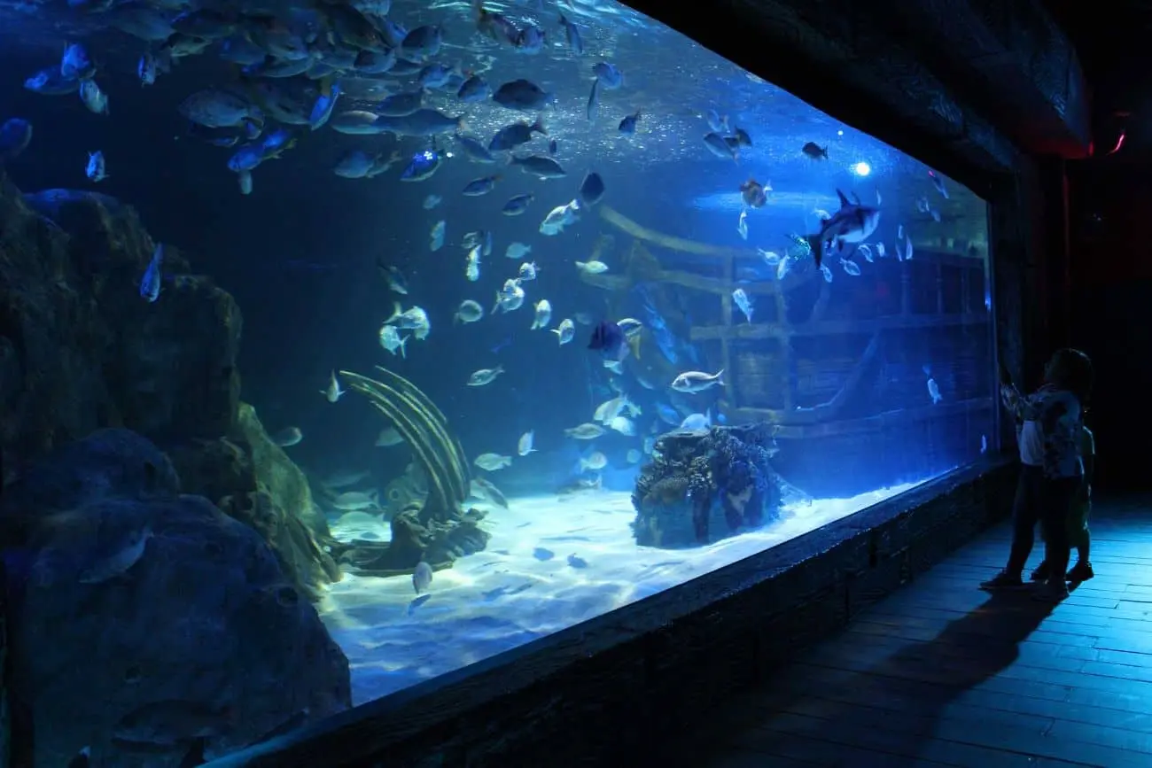 Acuario de León, Guanajuato