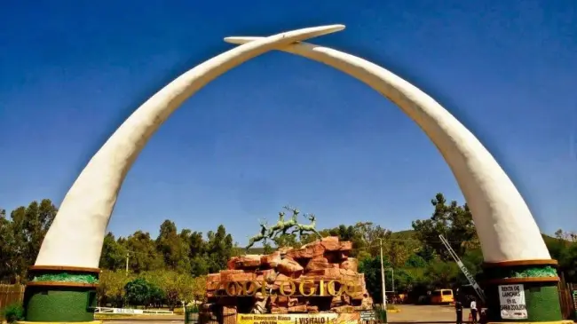 Zoológico de León, Guanajuato, aventura, aprendizaje y diversión