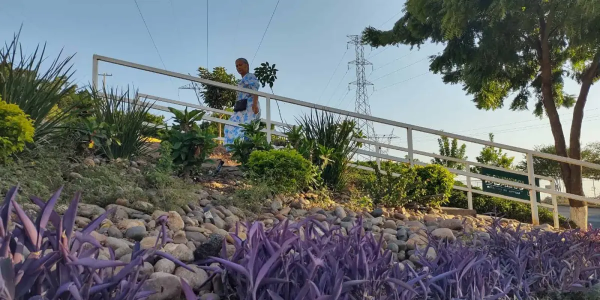 Para garantizar el mantenimiento y la sostenibilidad del jardín, la Japac, instaló tomas de agua que permiten un riego autónomo mediante un sistema de goteo. Foto: Juan Madrigal