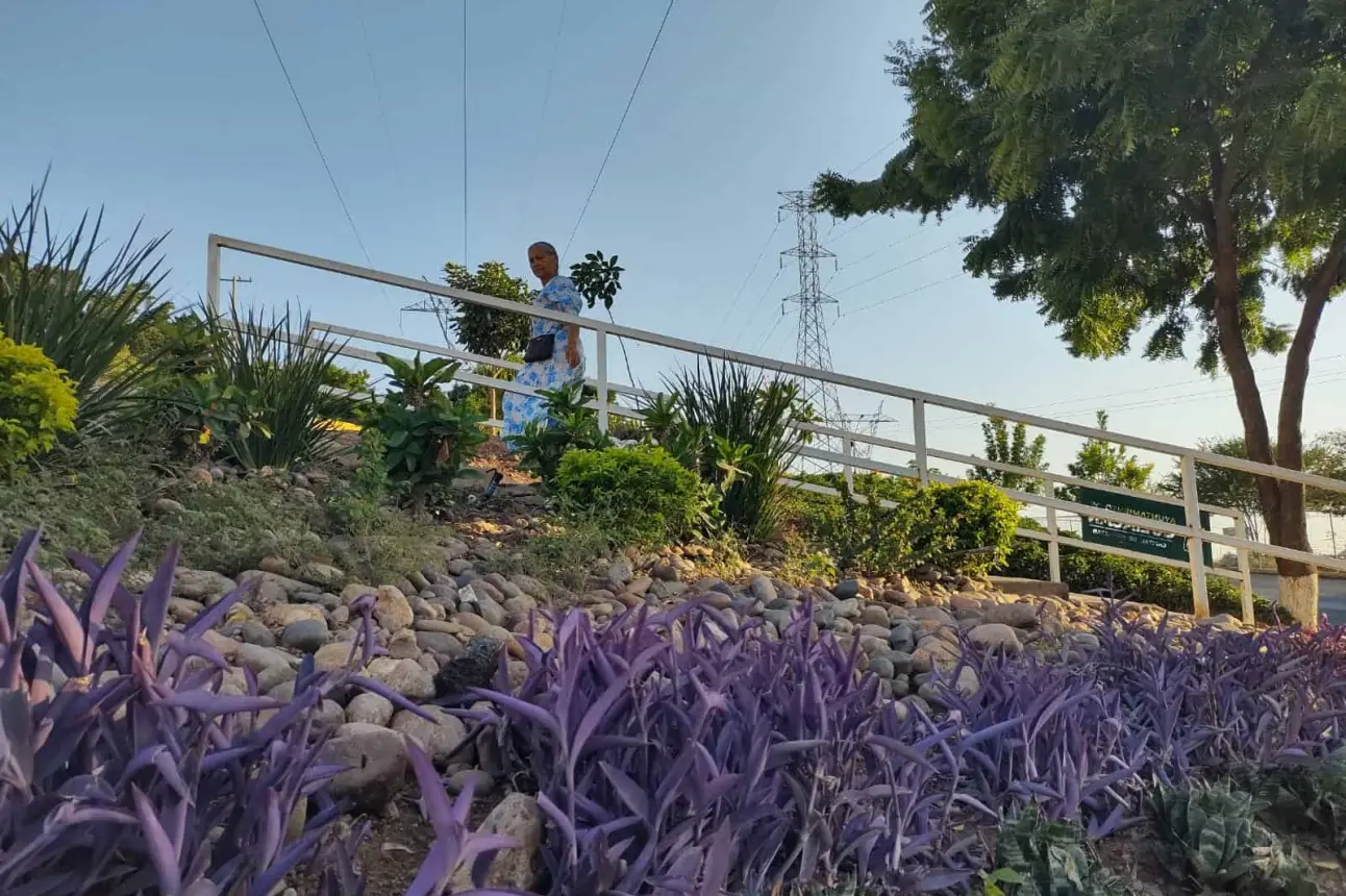 Para garantizar el mantenimiento y la sostenibilidad del jardín, la Japac, instaló tomas de agua que permiten un riego autónomo mediante un sistema de goteo. Foto: Juan Madrigal