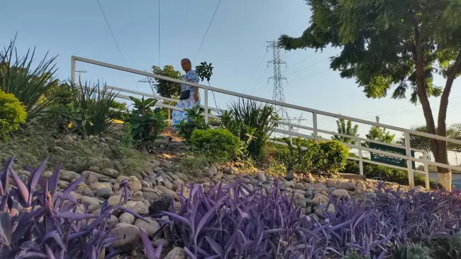 Para garantizar el mantenimiento y la sostenibilidad del jardín, la Japac, instaló tomas de agua que permiten un riego autónomo mediante un sistema de goteo. Foto: Juan Madrigal