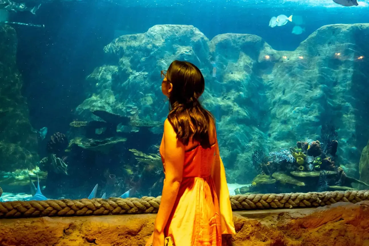 Acuario Sealand; una aventura submarina ubicada en San Pedro.