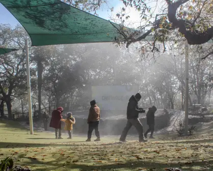 Parque Ecológico Chipinque; qué hacer y cómo llegar